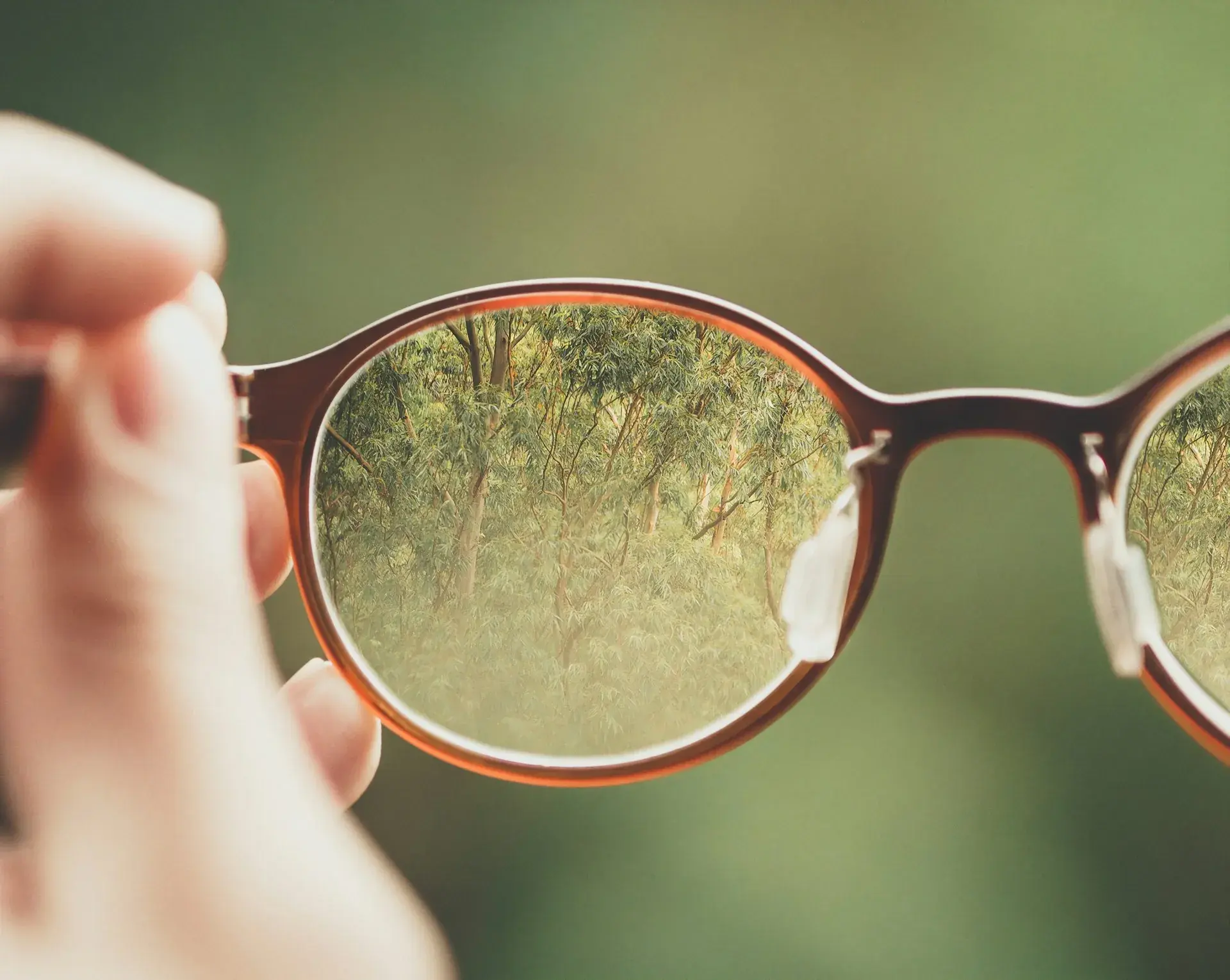 Saturated Market, Yet Growth: A 63% Non-Brand SEO Surge