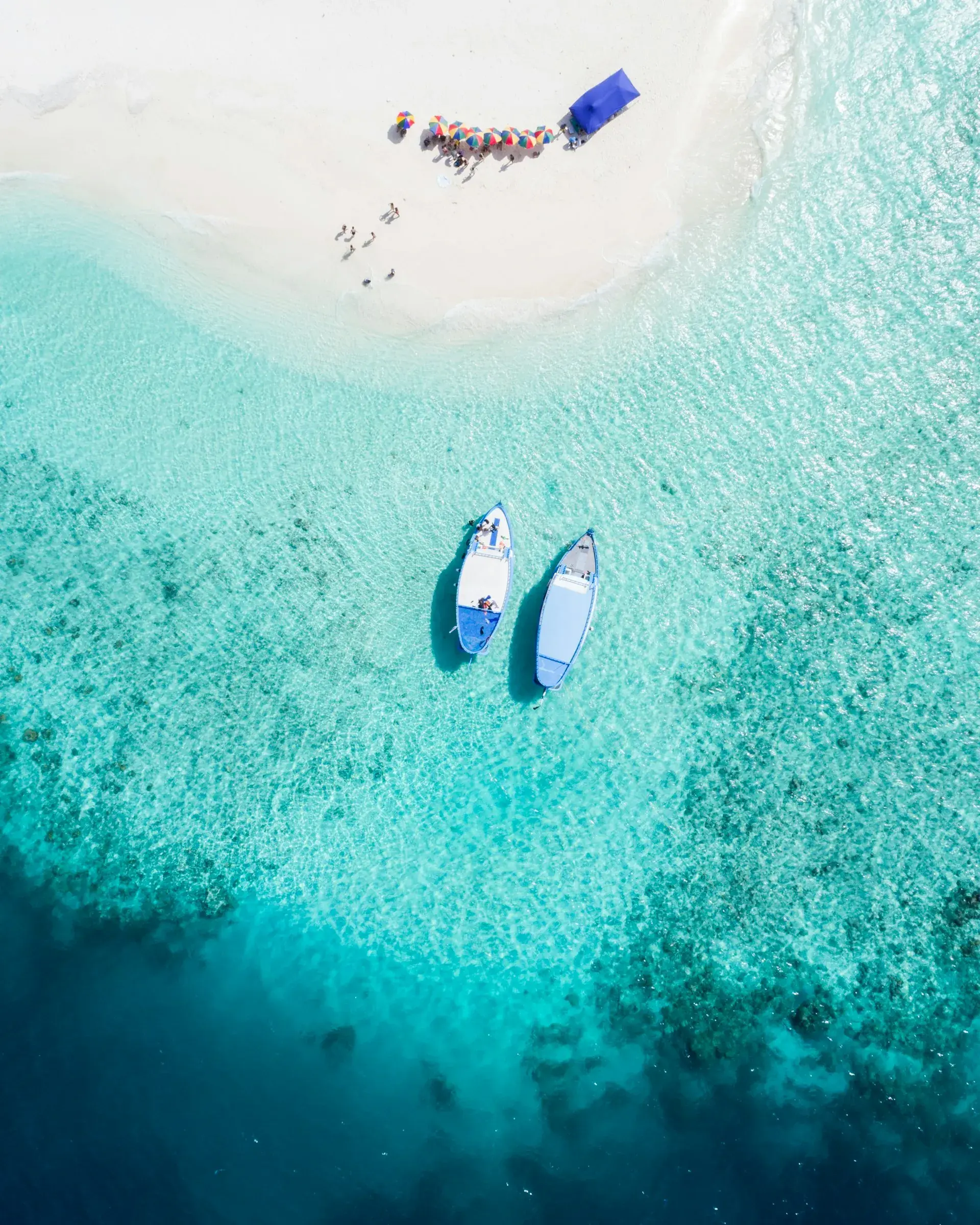Travel & Hospitality