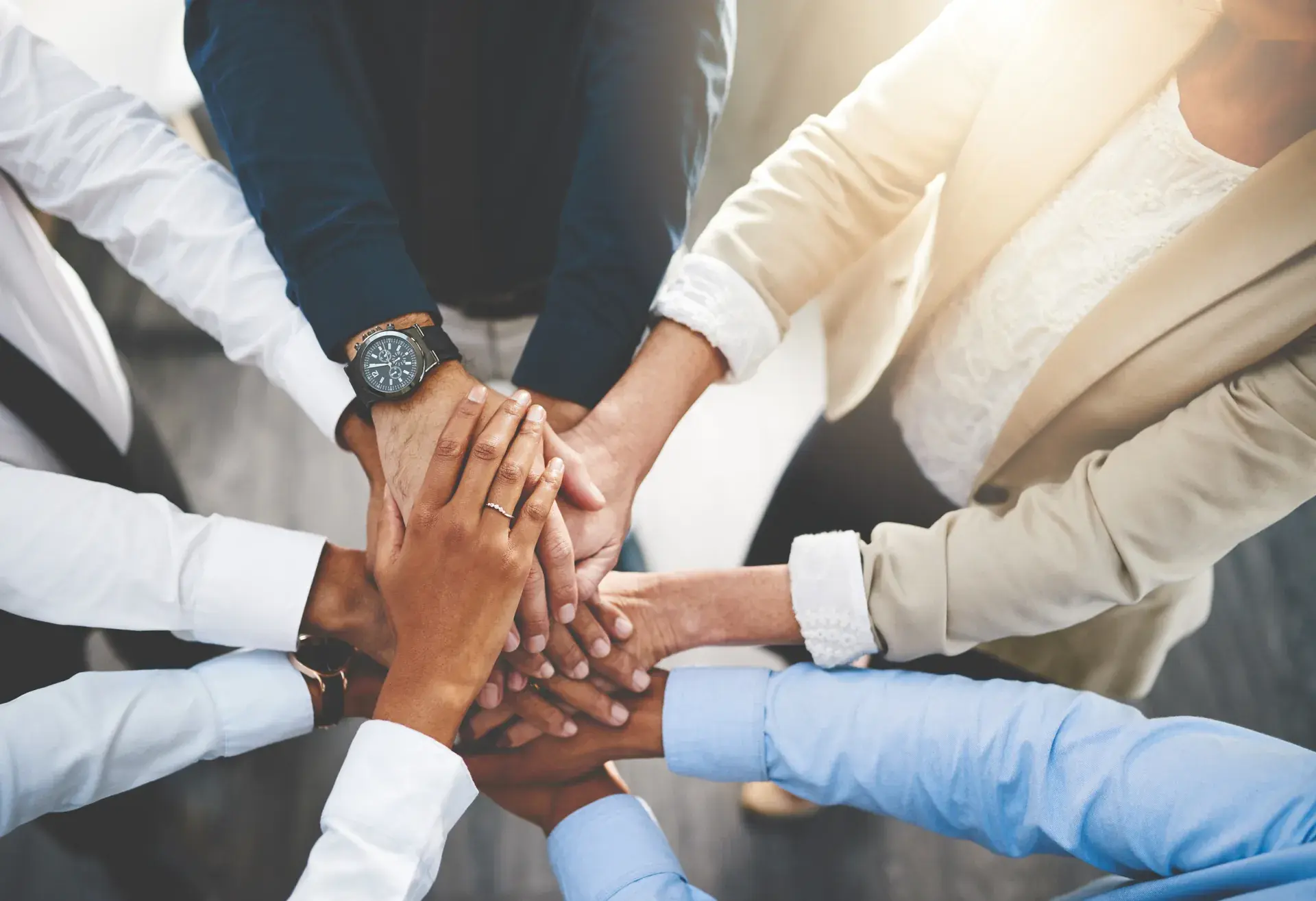 Meet the Leaders Driving Intelegencia Forward