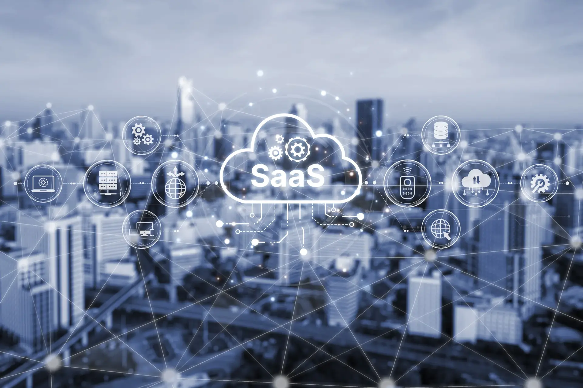 Enterprise SaaS & Software Support